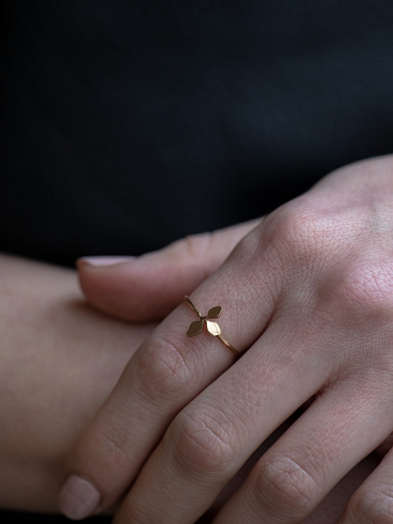 Břečťan jednoduchý prsten