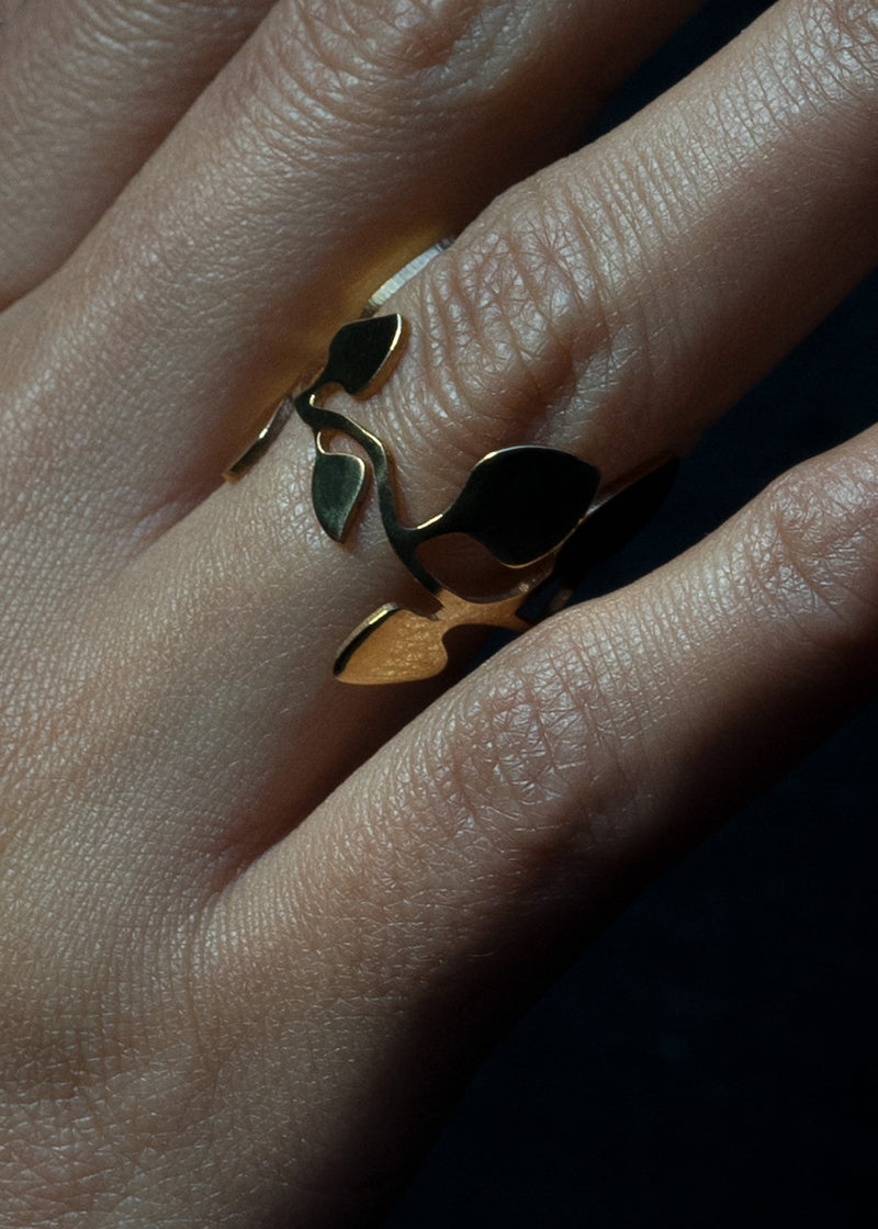 Vavřínový prsten