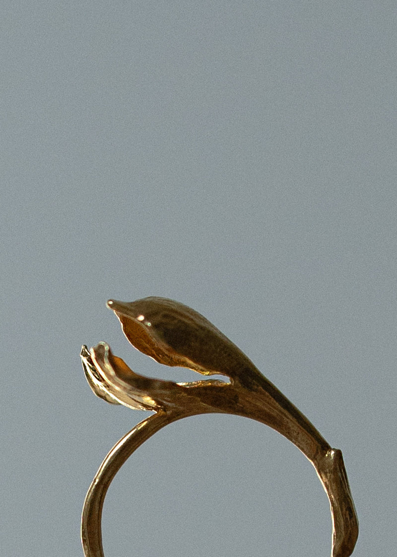 Sage ring
