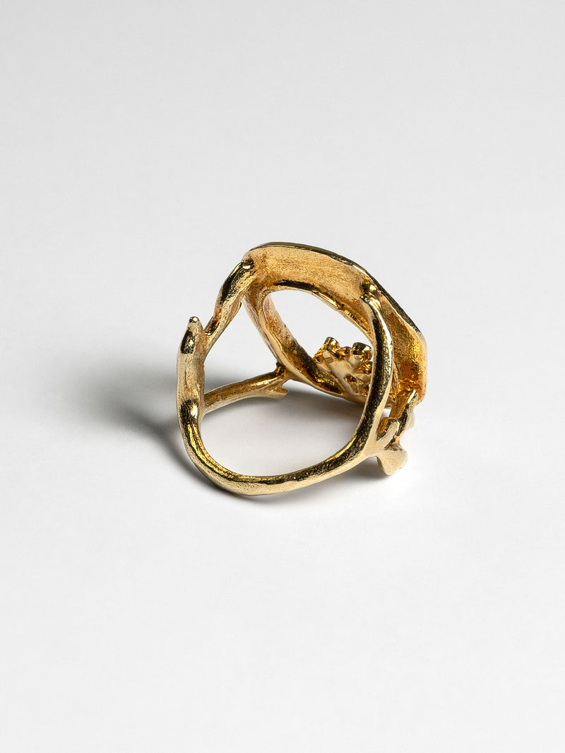 Voynichův rukopisný prsten