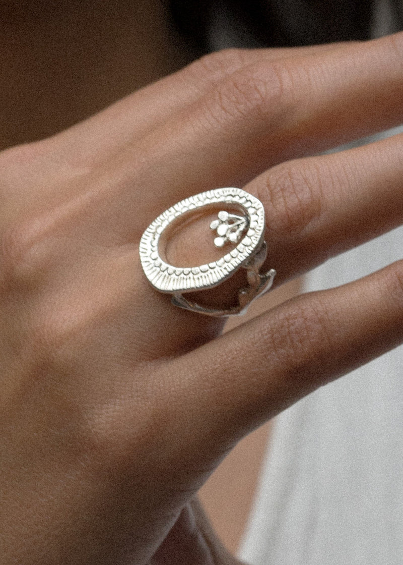 Voynichův rukopisný prsten